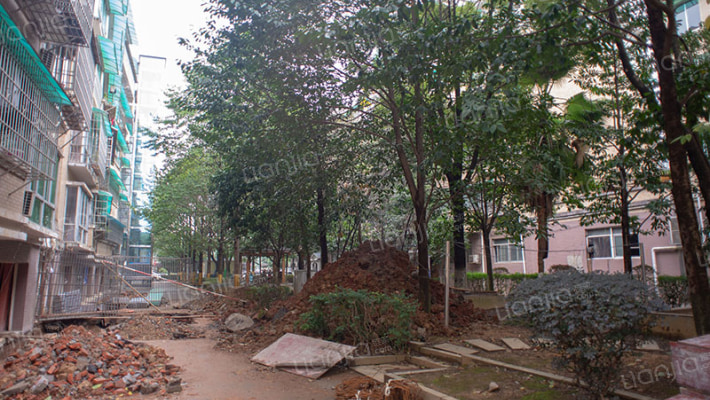 法苑小区外景图