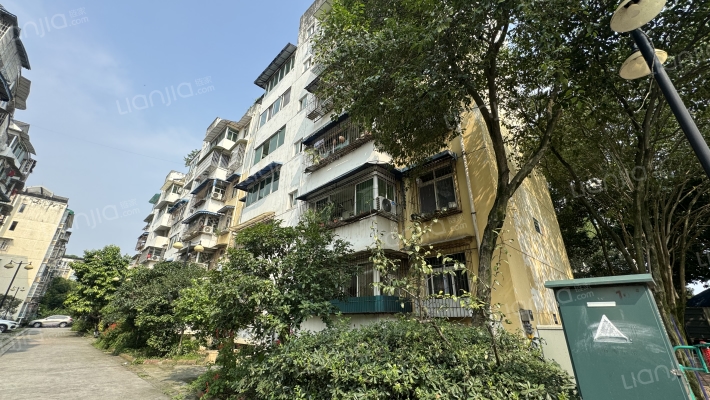 纯阳花园外景图