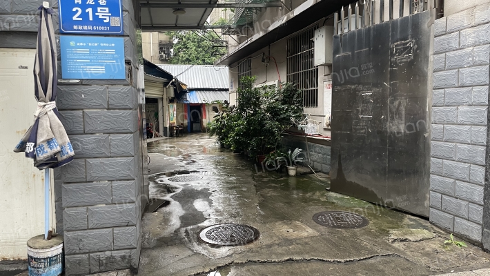 青龙巷21号外景图