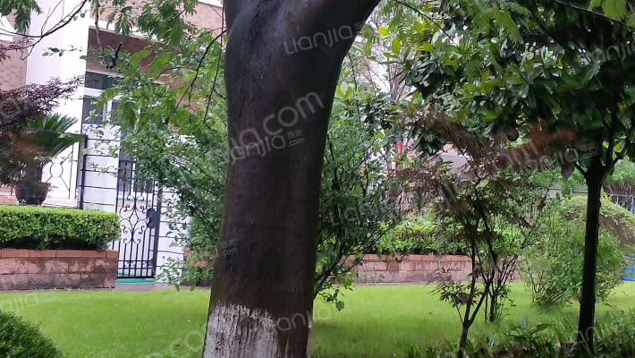 怡东花园(别墅)外景图