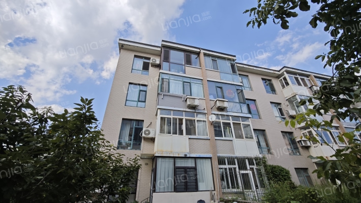 柳树南街外景图