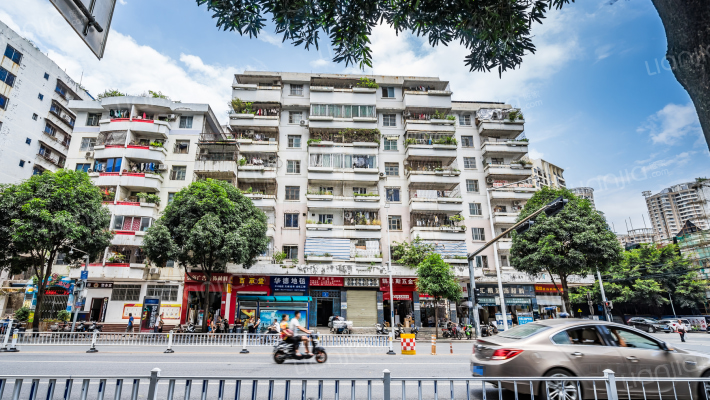 人民西路单位房外景图