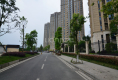 万科五龙山九墅17