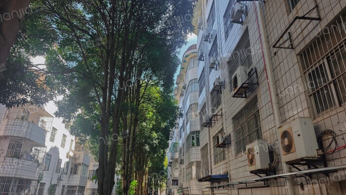 中级人民法院住宅宿舍外景图