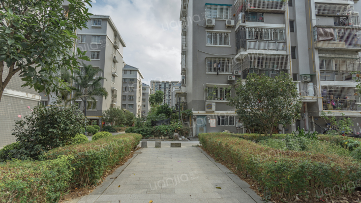 百花新苑一区外景图