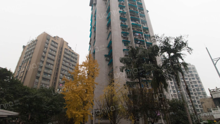 商检大厦外景图