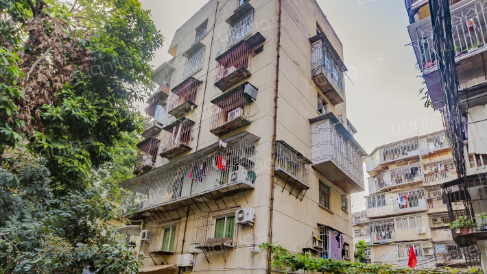 西凤新村外景图