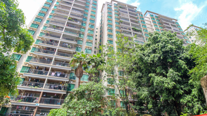 本因坊，宝家园外景图