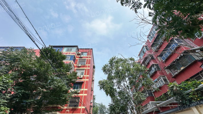 财政局家属院外景图