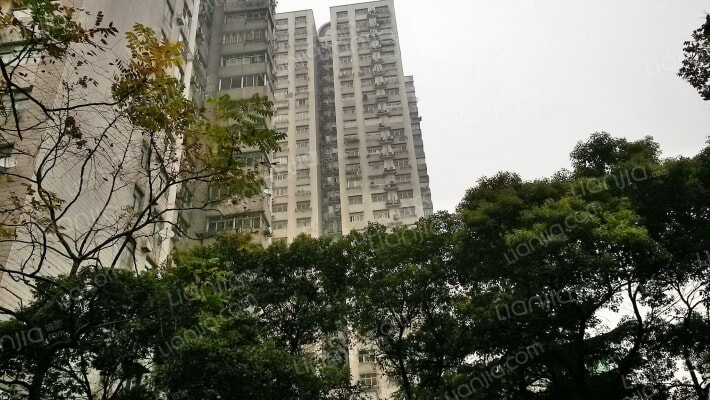 天诚花苑外景图