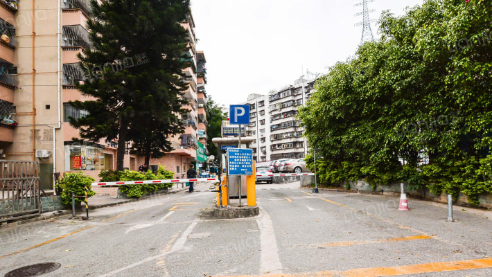 红岗西村外景图