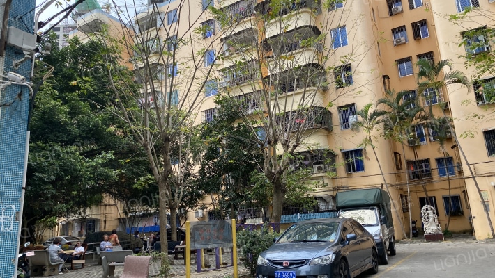 椰树小区外景图