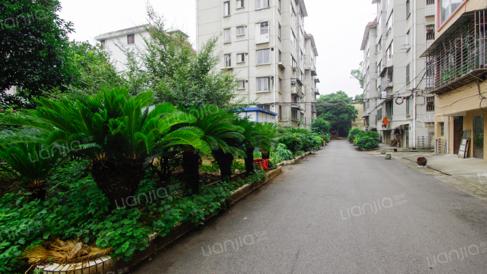 鲁山水泥厂生活区大院外景图