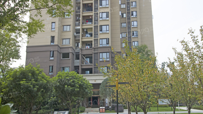 金科天元道一期二组团外景图