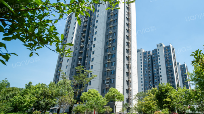 惠蒲新世纪东区外景图