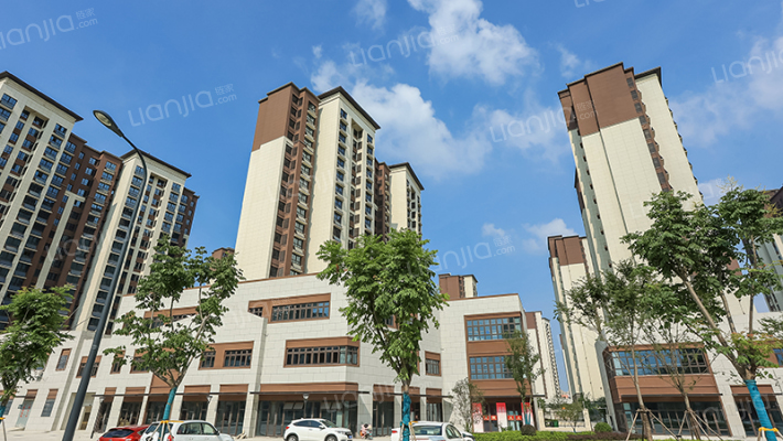 新店雅苑C地块外景图