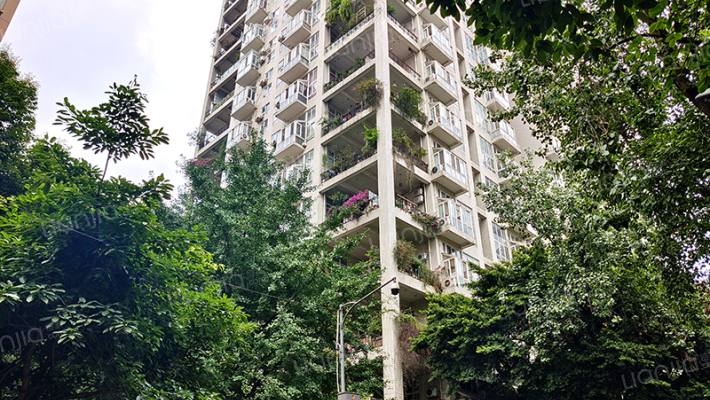 东珠美地外景图