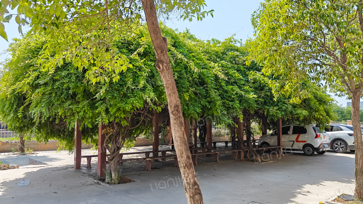 华美•星光花园一期外景图