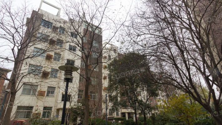 肉联公司家属院外景图