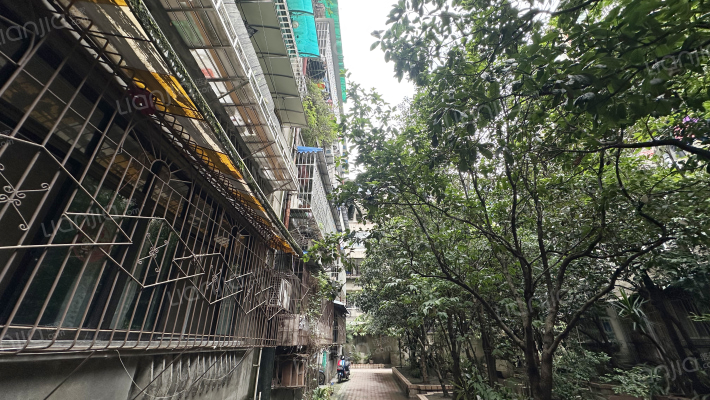 文庙后街31号外景图