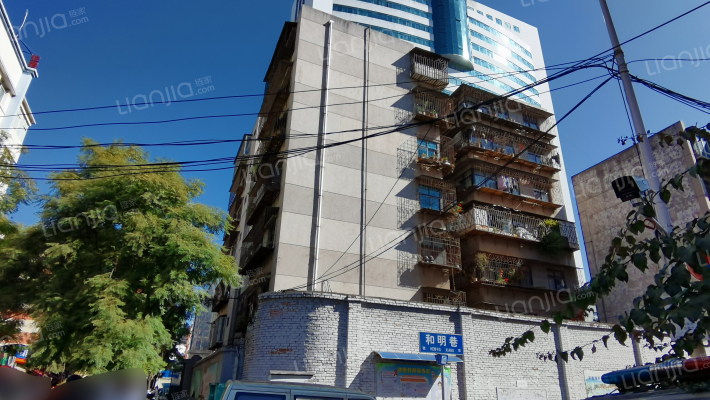 和平村77号外景图