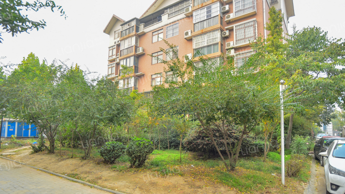 中原桂冠外景图