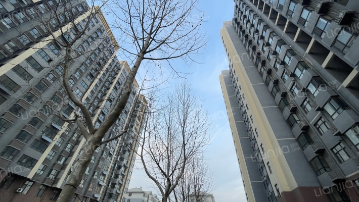 格林春天外景图