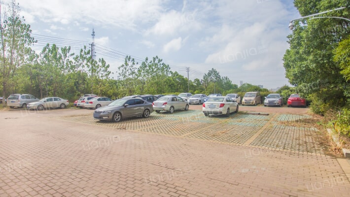 溪湖春天外景图