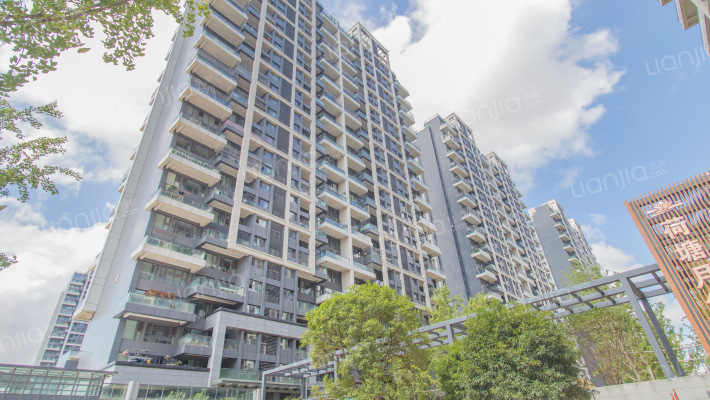 荷塘月色外景图