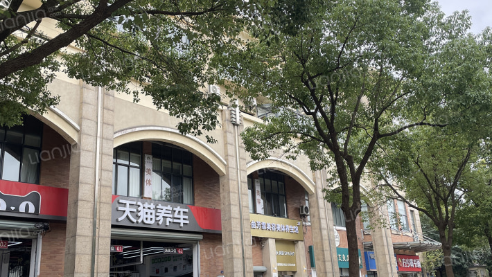 春天大道外景图