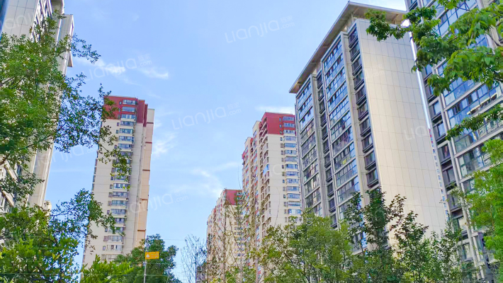 星耀都荟花园B区外景图