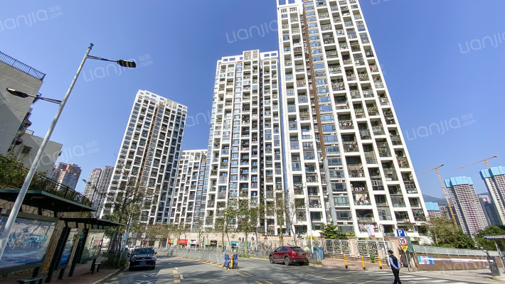 梧桐春晓花园外景图