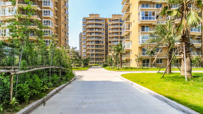 安堡锦园外景图