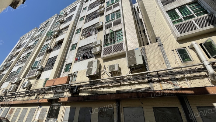 陈村丽景楼外景图