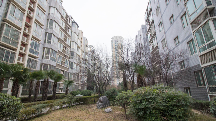 九龙新城外景图