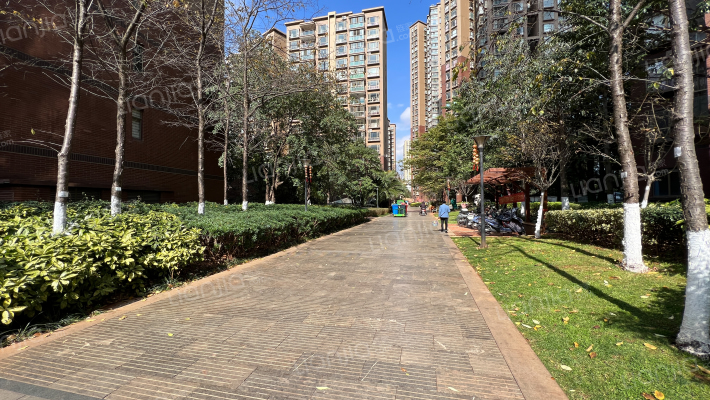 丽水雅苑外景图