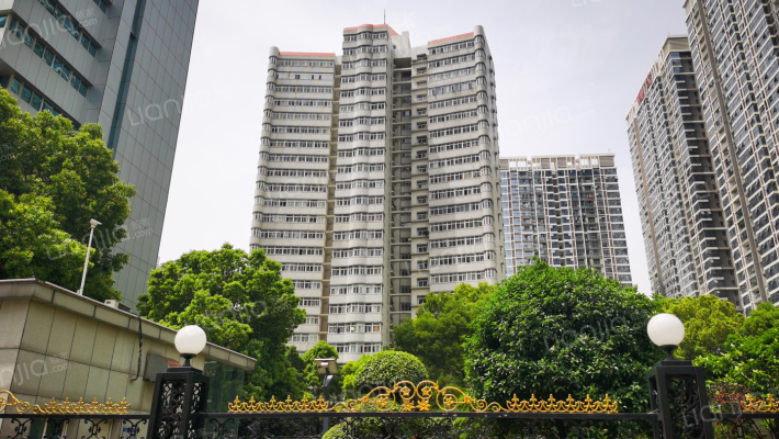 建设大道905号外景图