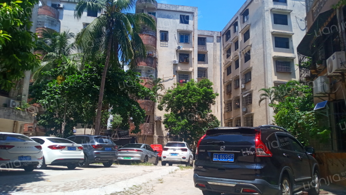 椰林小区（龙舌路）外景图