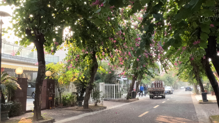 东逸湾紫晖苑外景图