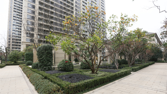 天誉名邸外景图