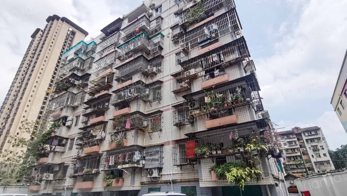 糖烟宿舍外景图