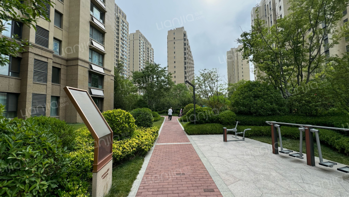 海信红岛府外景图