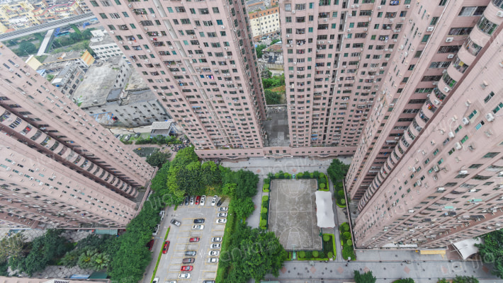 龙珠花园B区外景图