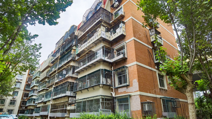 金堂南里外景图