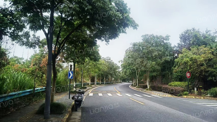 林泉流韵外景图