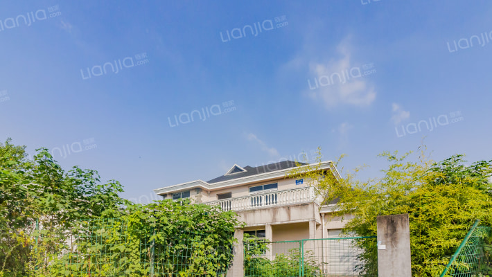 金华仙桥花木城外景图