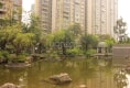 朝阳时代西锦15