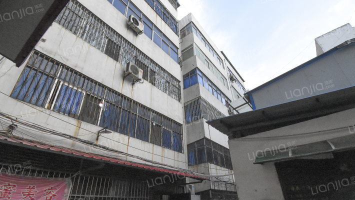 棉麻公司家属院外景图