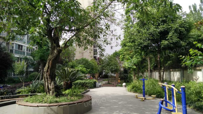 紫东梵谷外景图