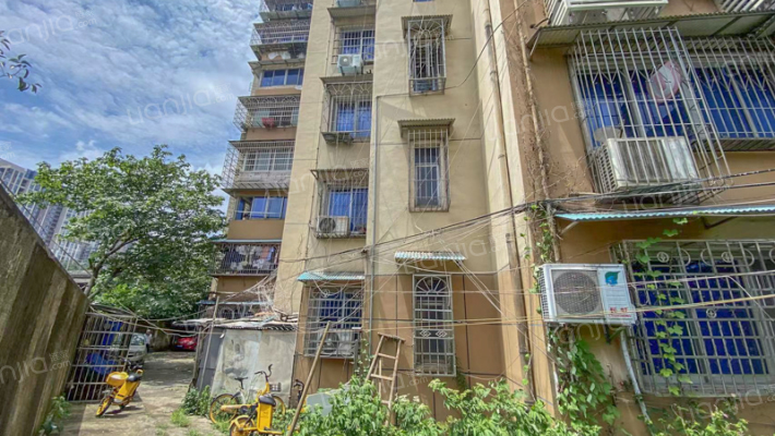 丽臣公寓外景图